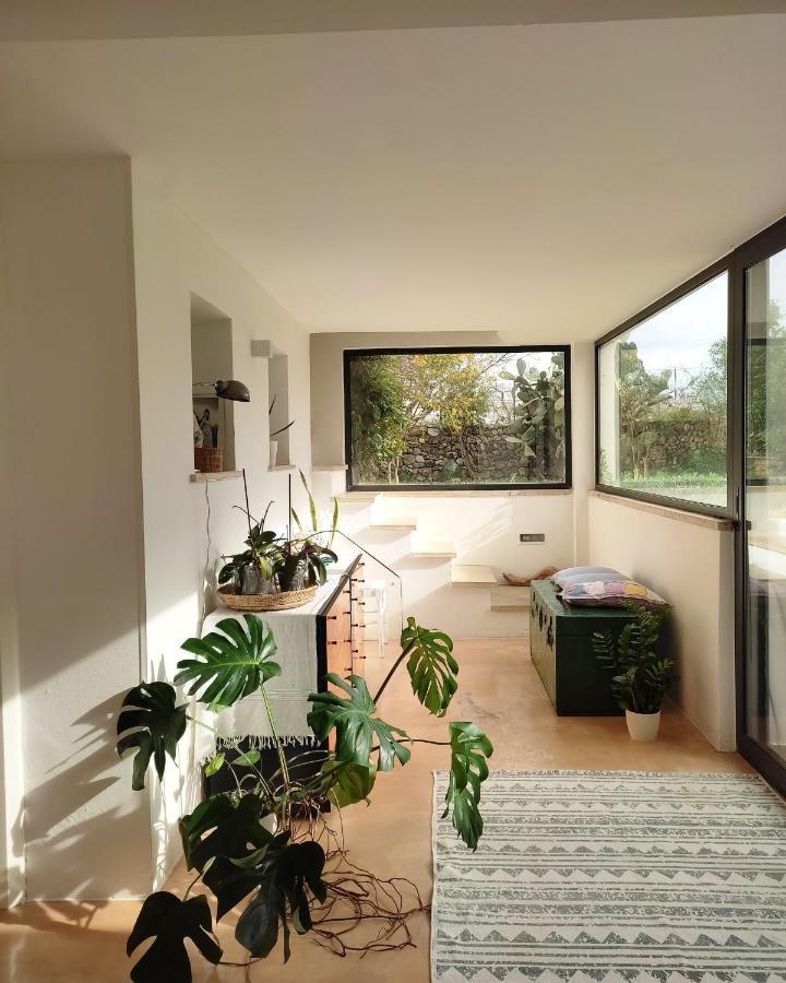 Villa Casa Aquilino à Castrignano del Capo Extérieur photo